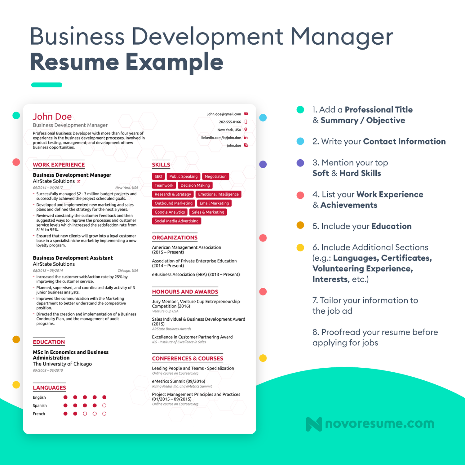 Business Development Resume Example