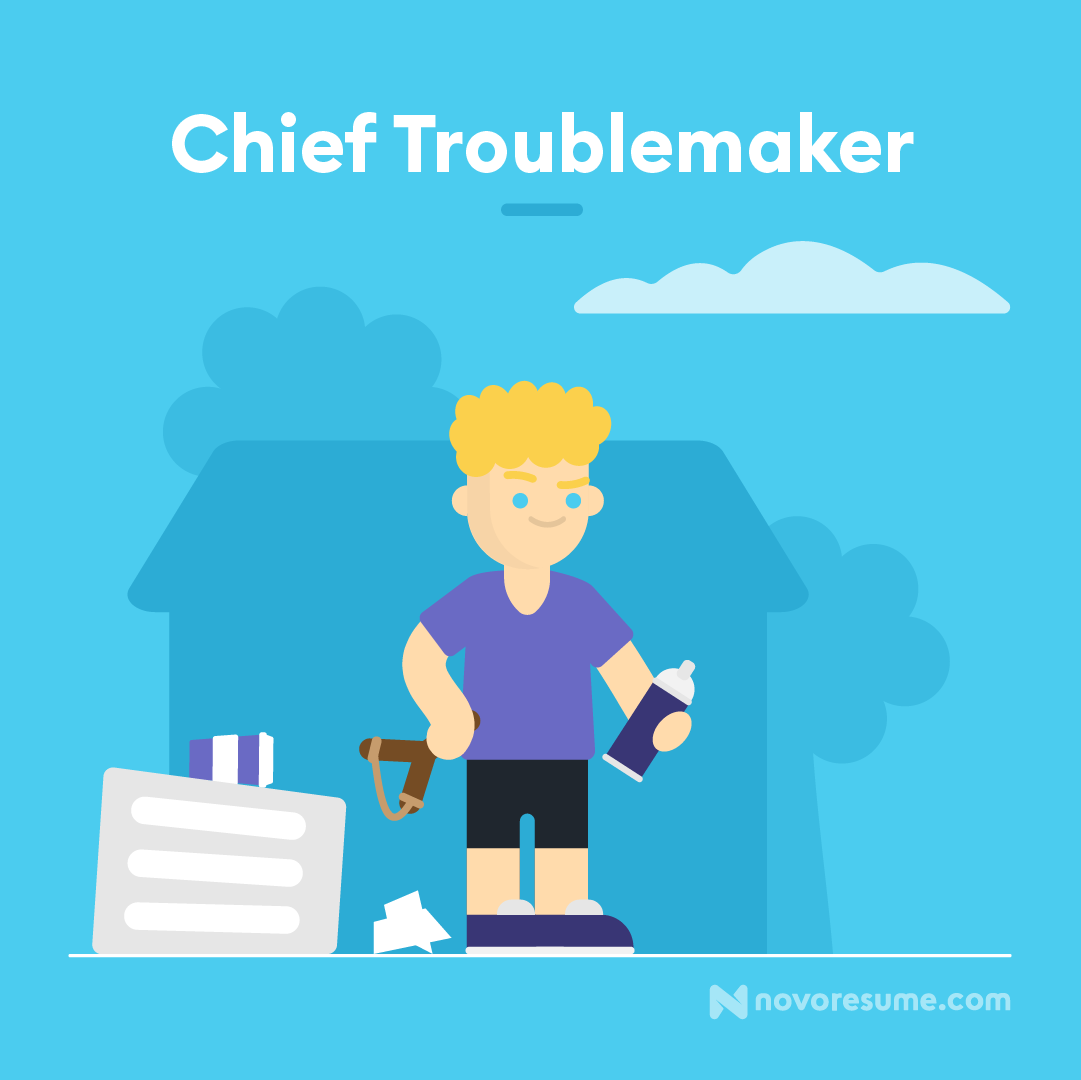 chief troublemaker novoresume-2