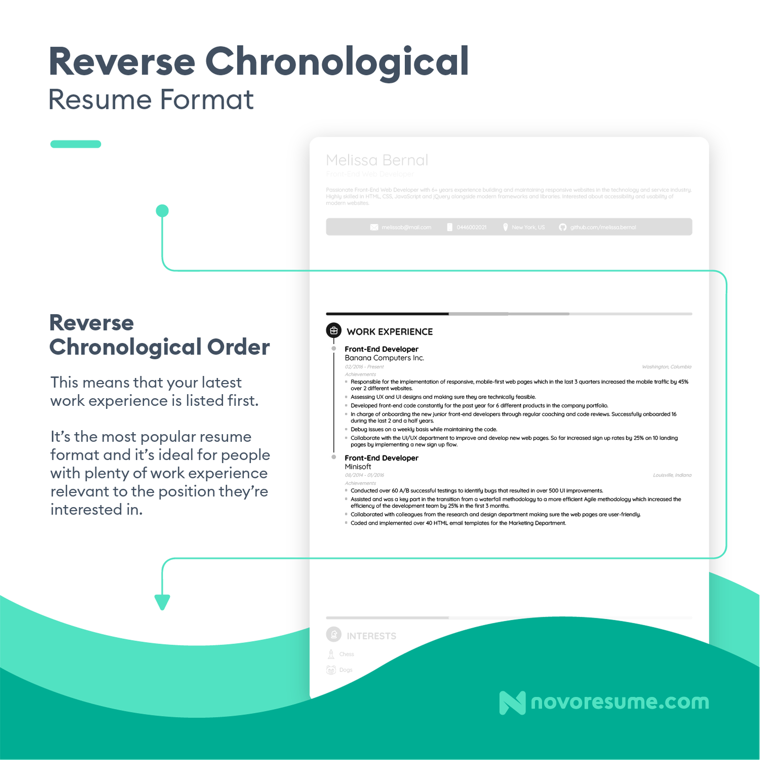 chronological resume template