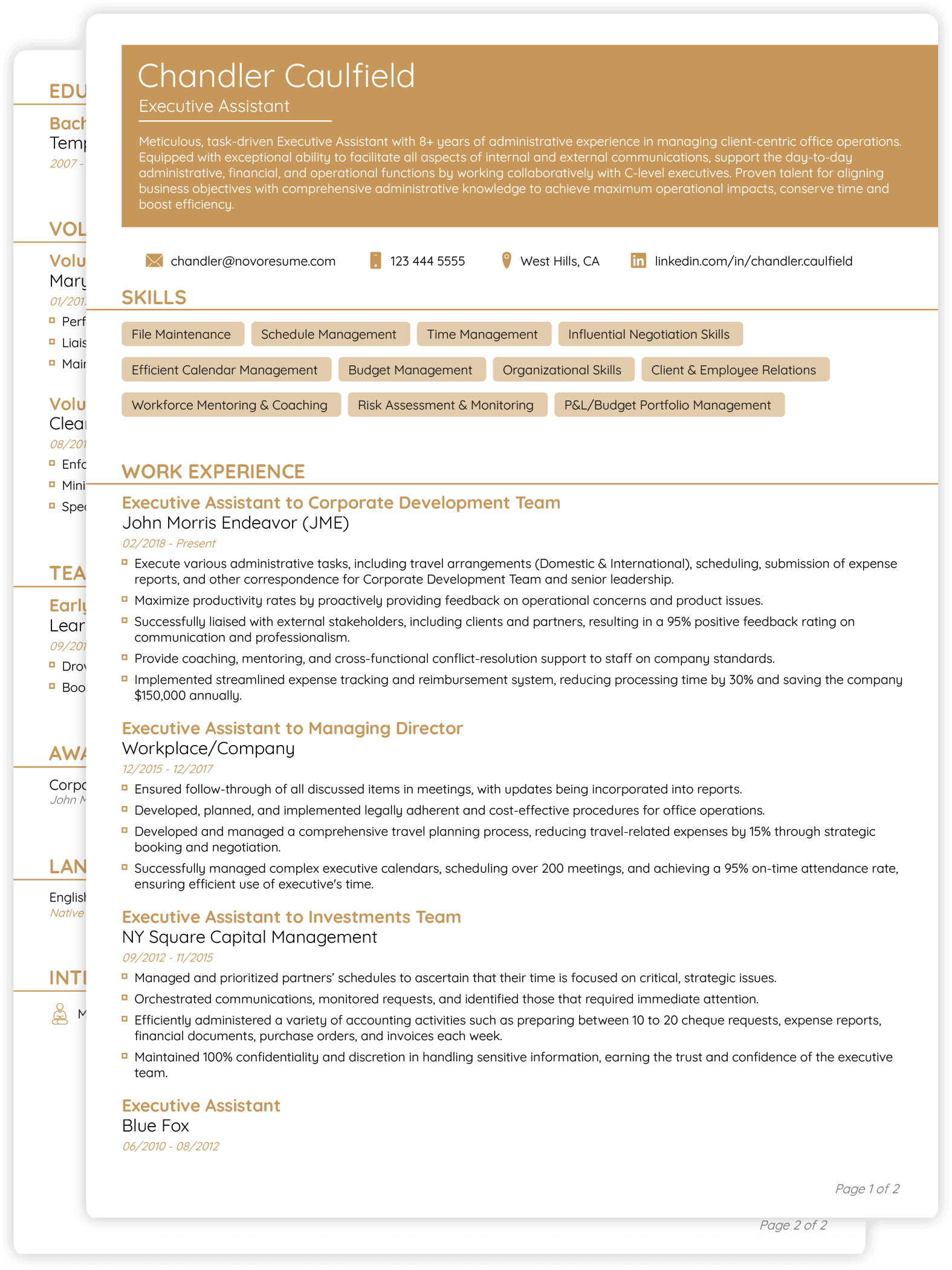 Functional CV Template