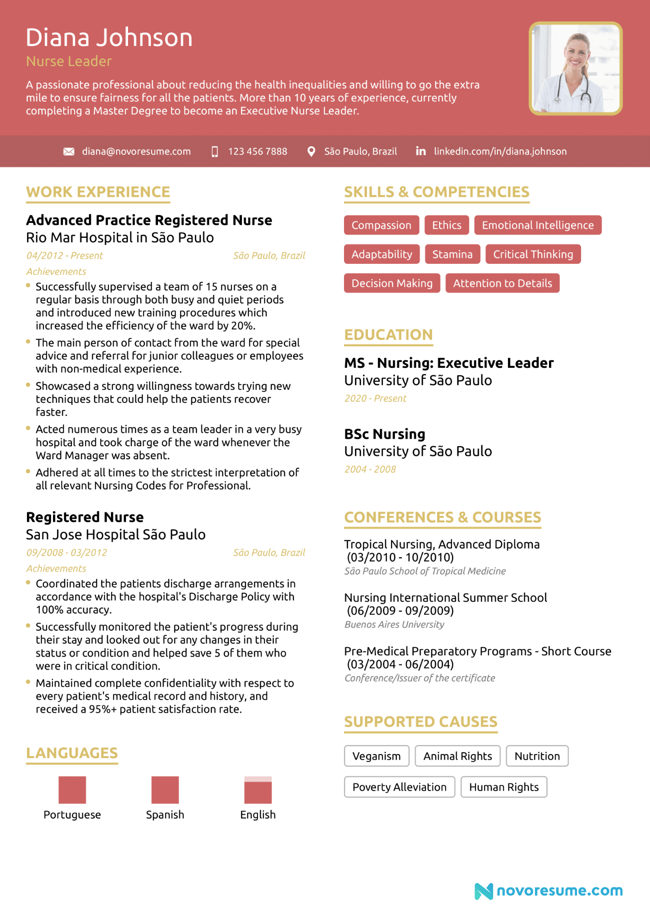 Nurse Practitioner CV Example