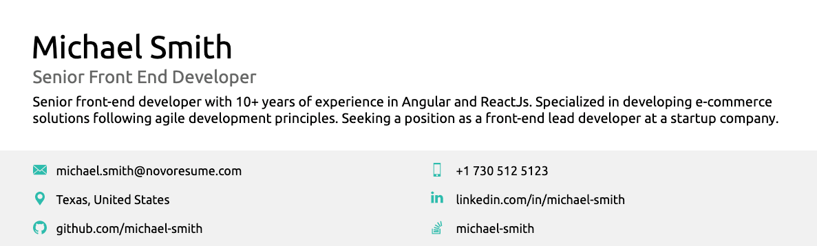 professional summary in resume header