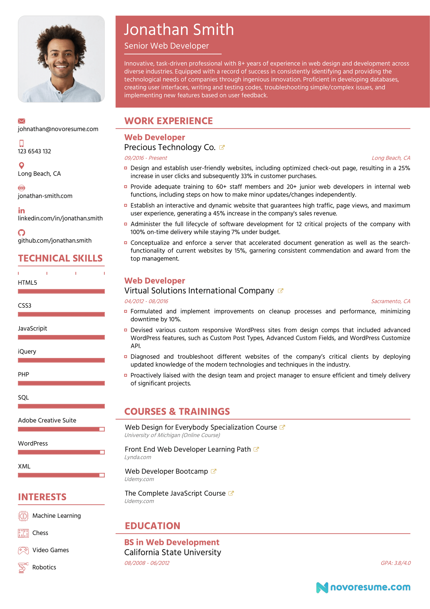 Web Developer CV Example